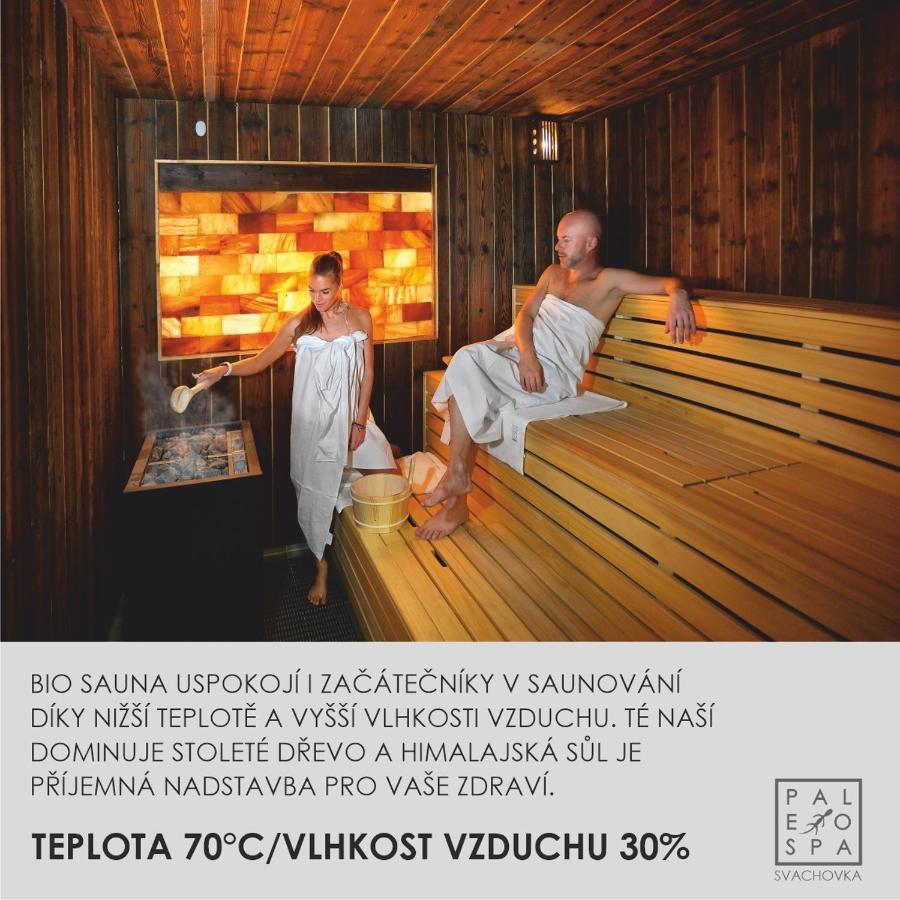 Wellness Hotel Svachovka Mírkovice エクステリア 写真