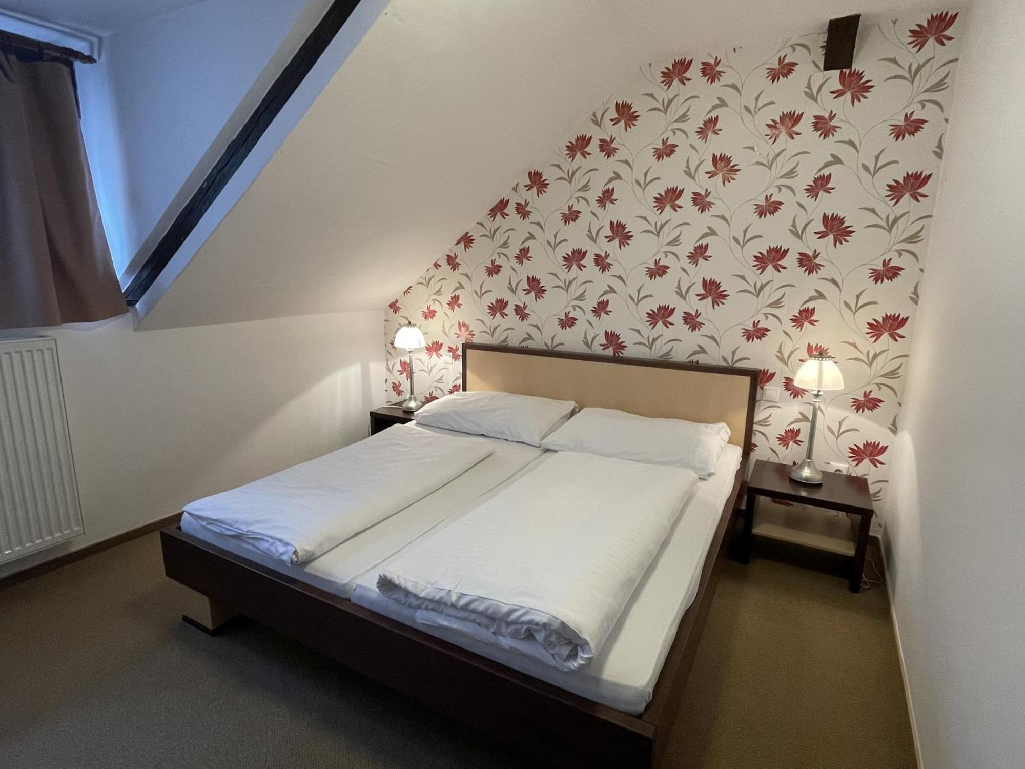 Wellness Hotel Svachovka Mírkovice エクステリア 写真