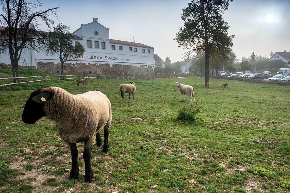 Wellness Hotel Svachovka Mírkovice エクステリア 写真